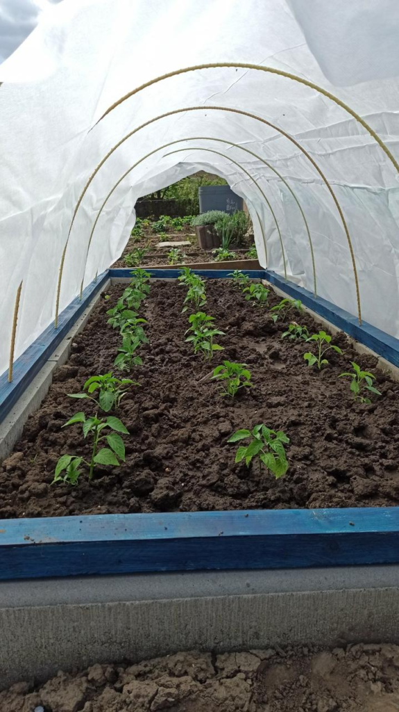 Дуги для парників (теплиць) Ø 8 мм “ЕКО” PolyEx